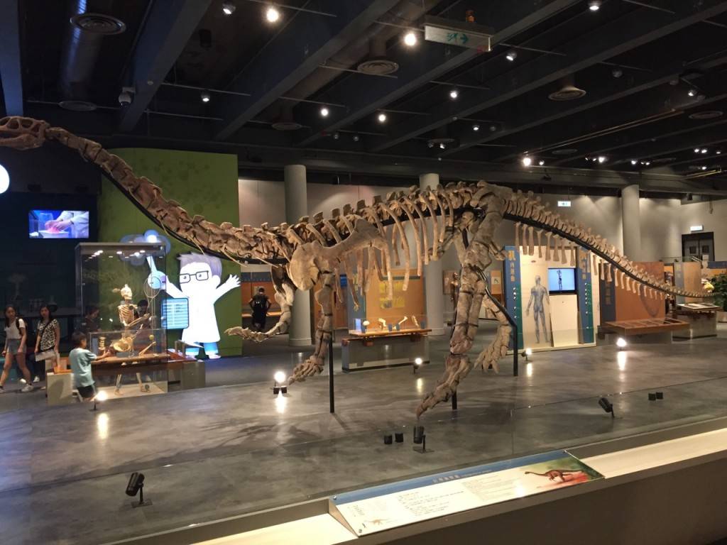 在生物館入口處已有小朋友很喜歡的恐龍骨。