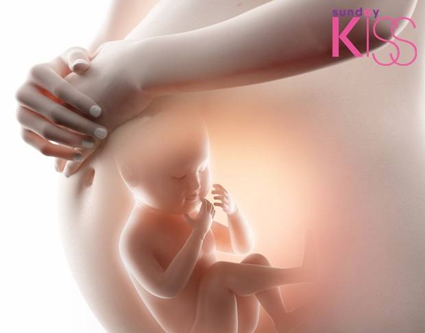 小產調理 調理子宮的內環境及身體的狀況，有助再孕。