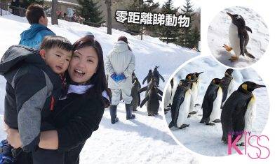 北海道親子遊｜旭山動物園交通資訊、冬季限定企鵝巡遊＋近距離睇北極熊