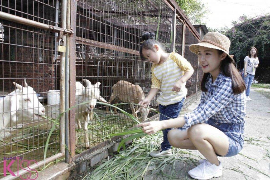 香港動物園及親子農莊 親親小動物好去處