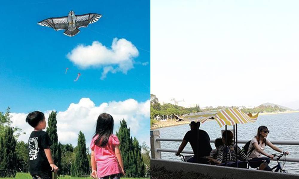 大埔海濱公園 | 全港最大公園設放風箏區 飽覽吐露港景色昆蟲屋免費參觀