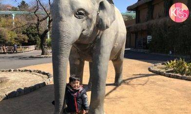 名古屋親子遊｜東山動植物園＋東山天空塔 日本第三大動物園之一