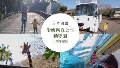 四國親子遊｜愛媛縣立砥部動物園Tobe Zoo！飛索體驗 五歲以下免費入場