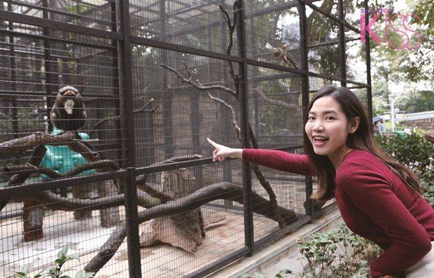 香港動物園及親子農莊 只有部分籠可以近距離看猴子