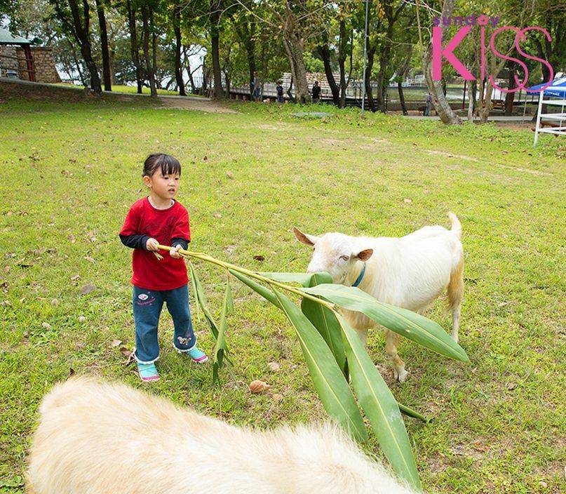 香港動物園及親子農莊 長洲西園位於長洲西南角，約11英畝土地大