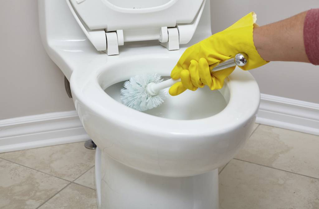 家居清潔 家居用品6- 馬桶刷：每次用完都要洗