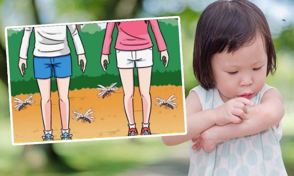 日本養蚊少年分享1招防蚊 ｜身體多細菌 蚊叮次數多3倍