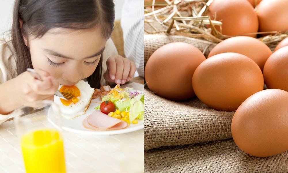 雞蛋高膽固醇？日本研究拆解雞蛋7大迷思｜附早餐食雞蛋的6大好處