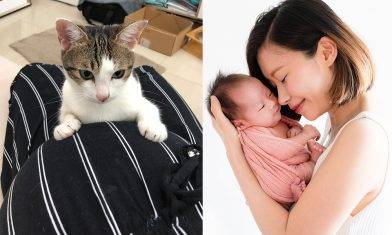 【KissMom專訪】新手媽媽疫情中生B 轉私家醫院只望老公陪產 3貓咪愛錫BB