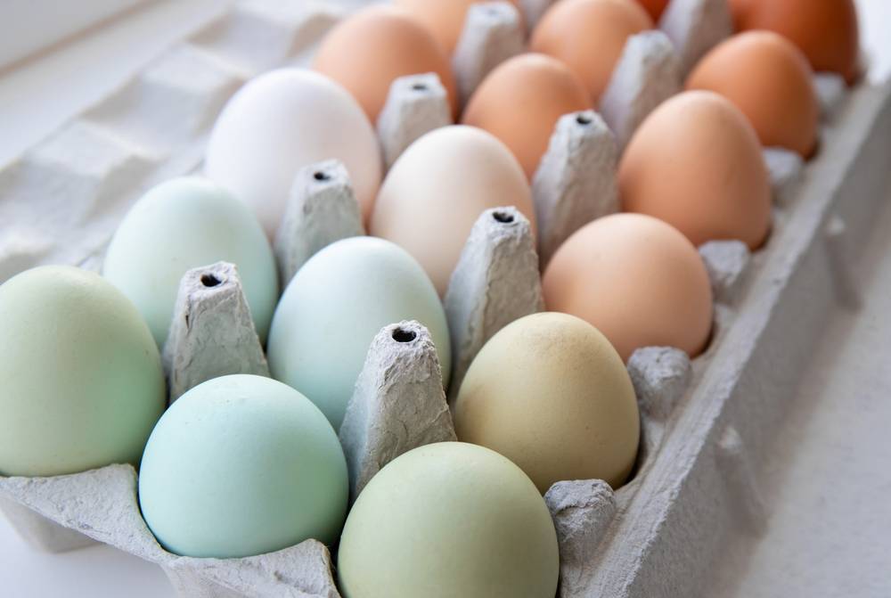 買餸儲糧 (圖片來源:Shutterstock)