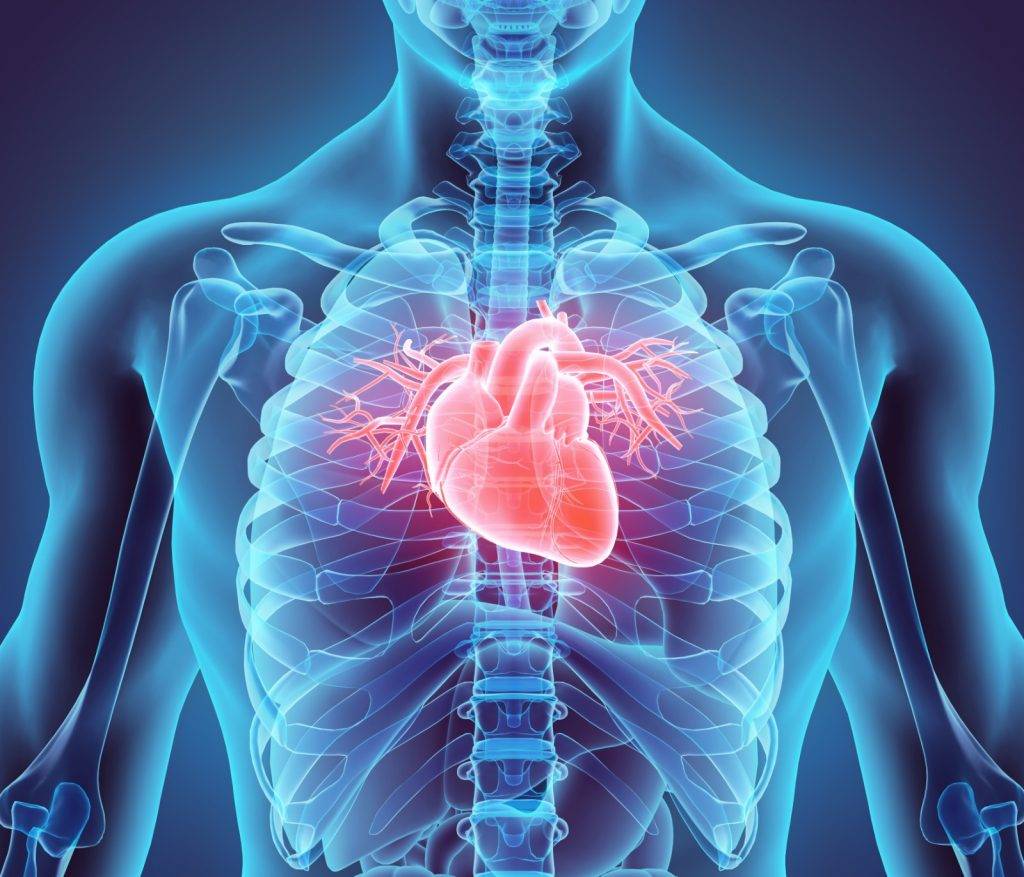 根據衛生署的統計數字，心臟病位列本港致命疾病的第三位。
