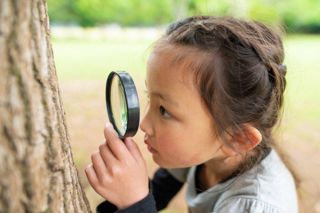 大自然 樂觀小孩 認識樹木