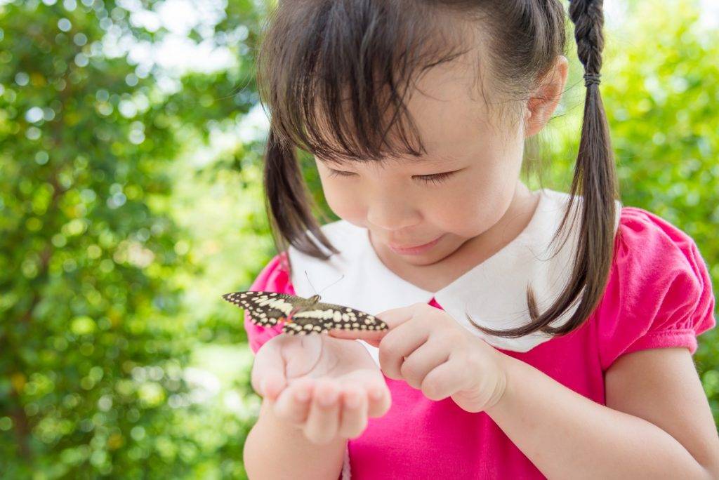 大自然 樂觀小孩 捕捉昆蟲