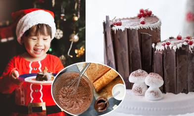 聖誕蛋糕食譜-伯爵茶朱古力樹頭蛋糕Yule Log Cake