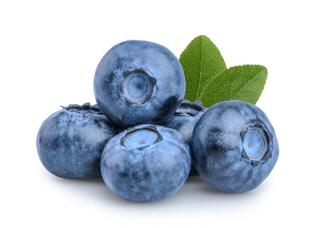 護眼 野生藍莓萃取的花青素常被應用作為近視者的視力保護，以及防止視力惡化之用。