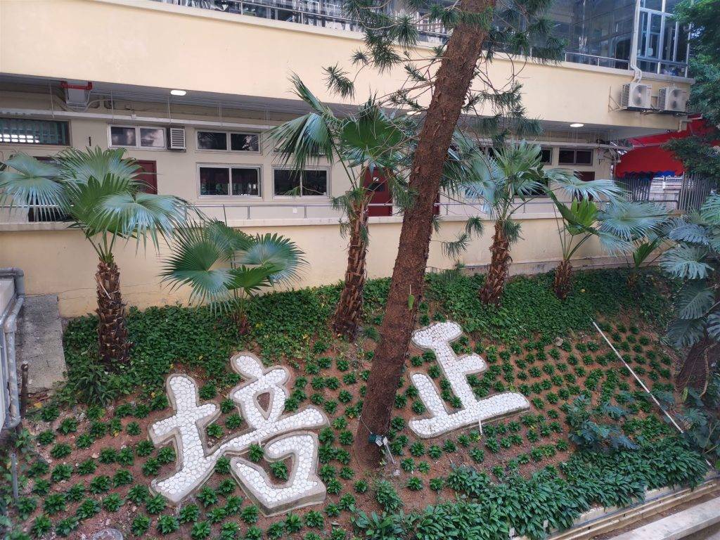 九龍城中學 香港培正中學的外觀。