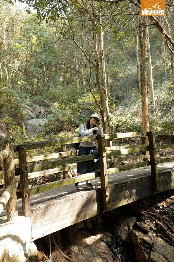 藍地水塘 長有青苔的小木橋很有京都園林日本風。