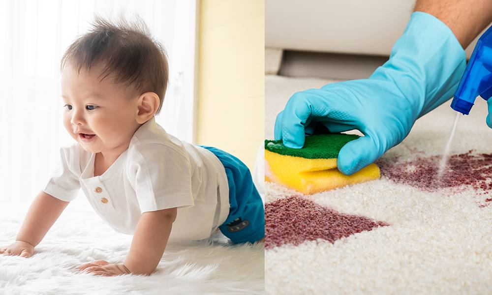 9個地毯清潔＋保養方法KO污漬-長期唔洗易生塵蟎起濕疹！