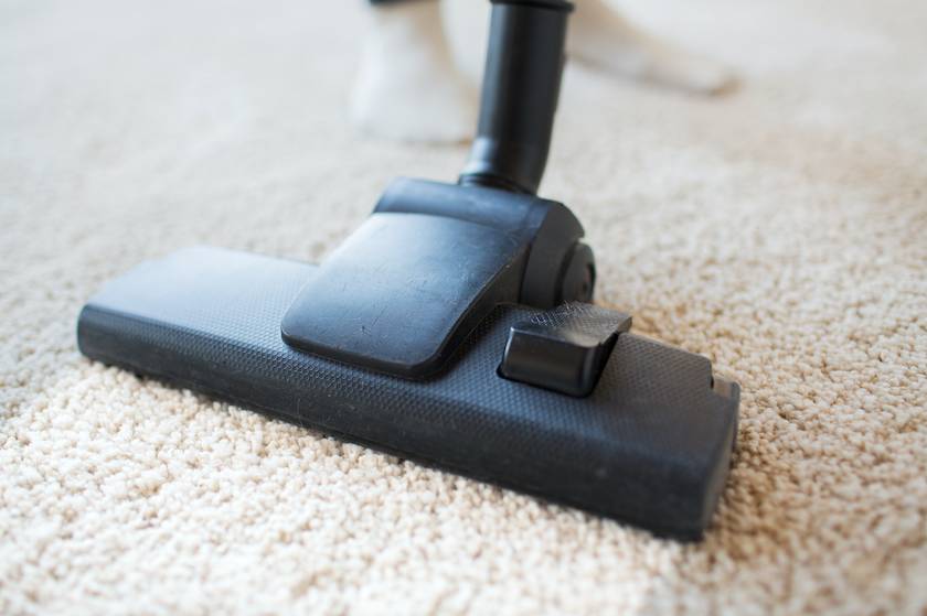 地毯保養法1：定期除塵