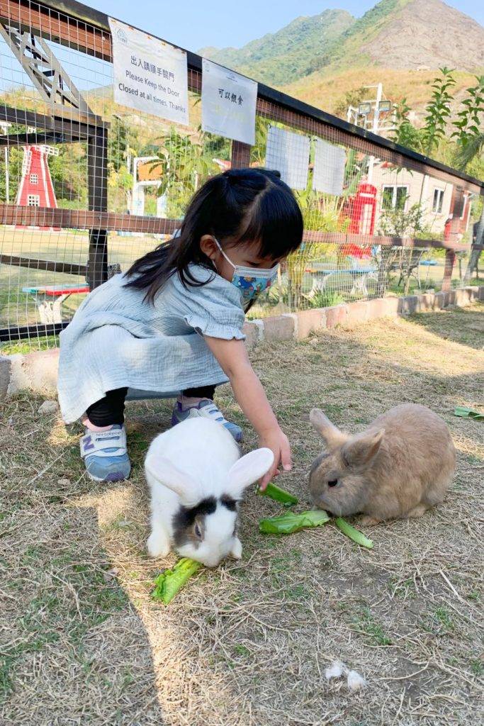 小白兔農莊 親餵小動物（圖片授權：Suetleimama 雪梨媽媽）