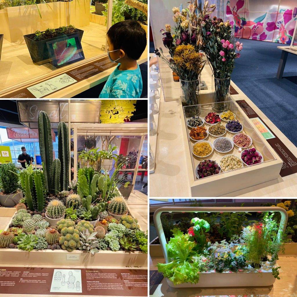 利用五感去探索花卉和大自然的奧秘。