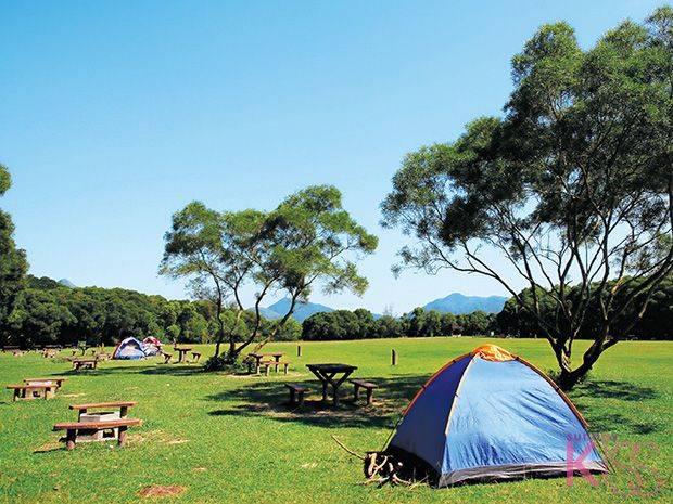 露營地點 平平的草地，露營首選之地！圖片來源：新傳媒資料庫