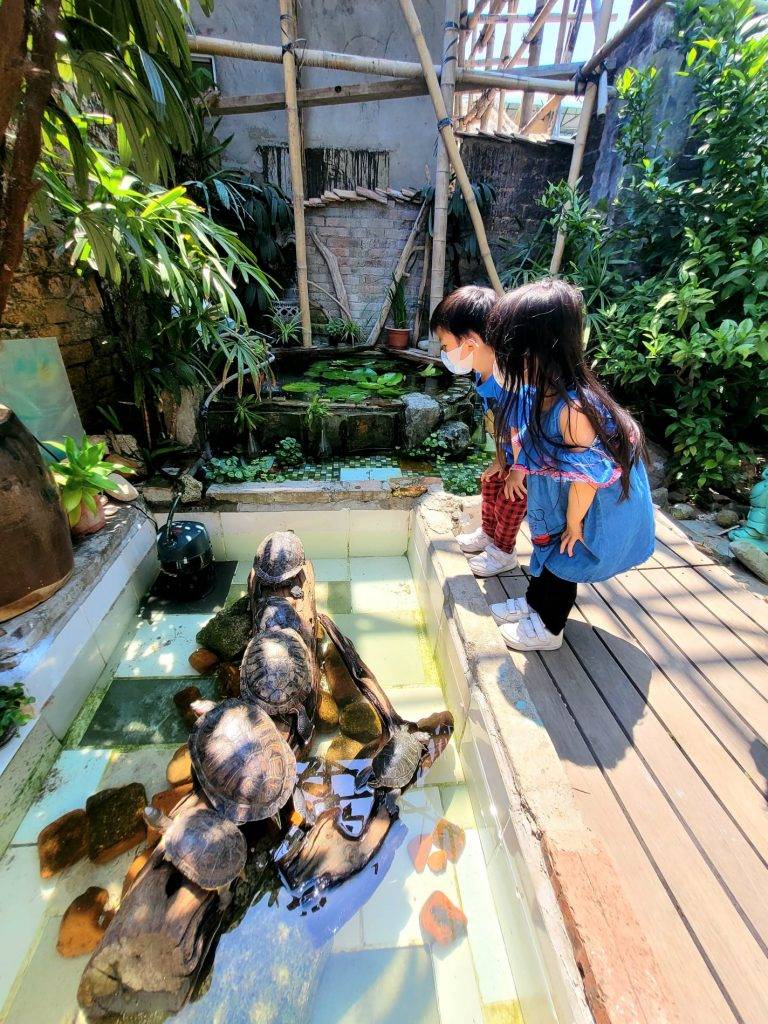 坪洲 有烏龜同魚的展品，小朋友一見到便興奮。