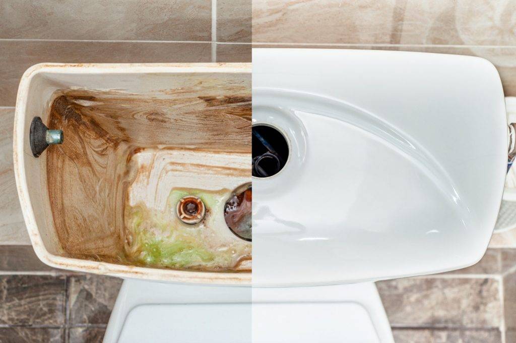 廁所水箱清潔 廁所水箱暗藏污垢，要定期清潔方為上策。（Shuttestock）