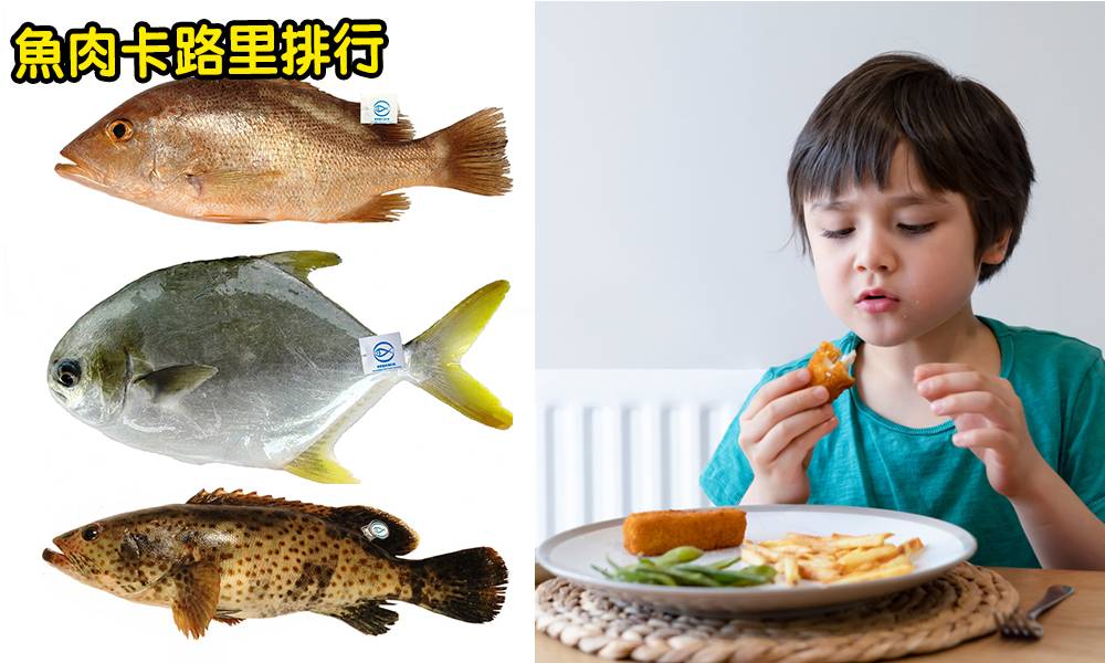 吃魚5大好處+16種魚類熱量排行｜食魚會變聰明！選對魚類避開重金屬