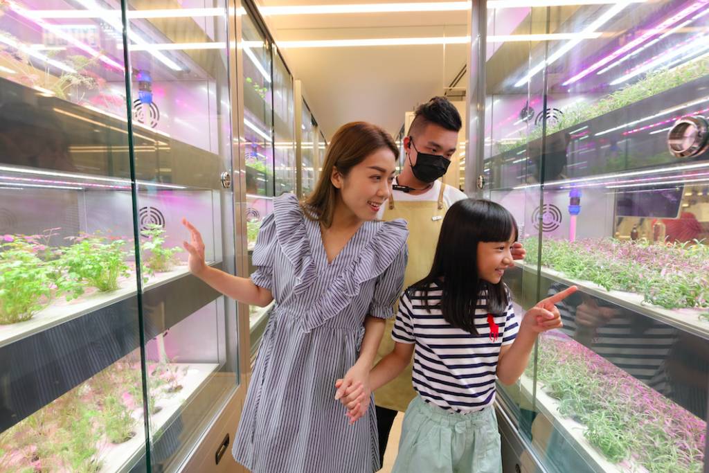 暑假好去處 家長和小朋友可以進入餐廳內的種植室參觀智能環保農場，認識亞洲首部「全環控智能移動水耕種植機」