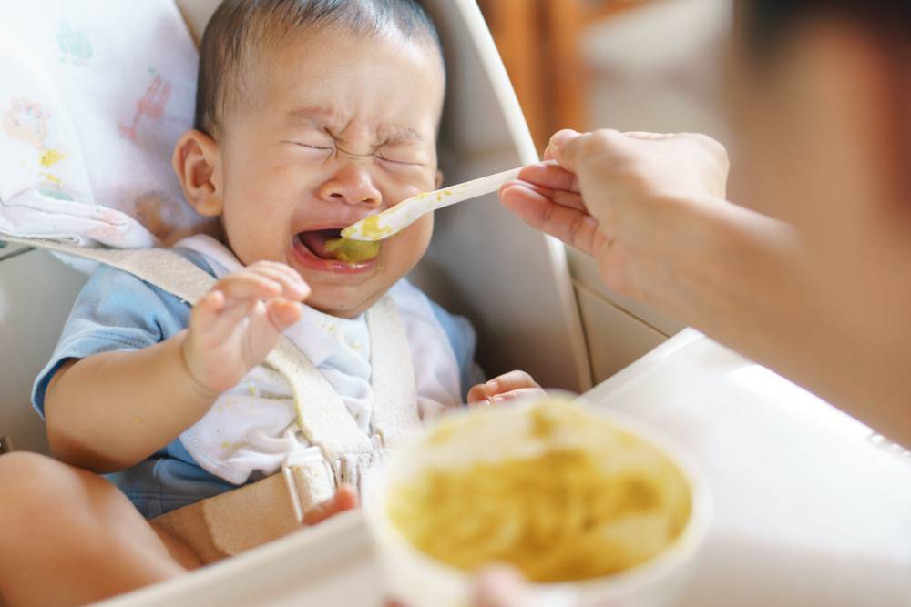 加固貼士：加固 的時候兒子拒絕食物