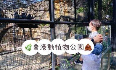 香港動植物公園｜哺乳類動物區重開 探馬騮猩猩+賞9月盛開季節花