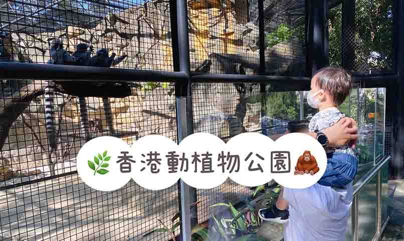 香港動植物公園｜哺乳類動物區重開 探馬騮猩猩+賞9月盛開季節花