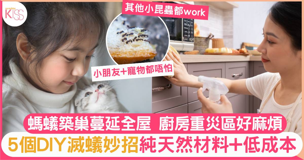 5個DIY滅蟻妙招 低成本+純天然材料 有小朋友都唔怕