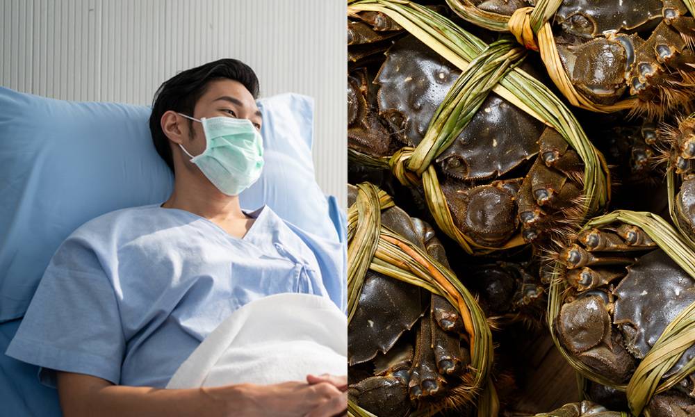 大閘蟹死後菌落增22% 男子食隔夜蟹患腦膜炎 專家：死了一定不能食