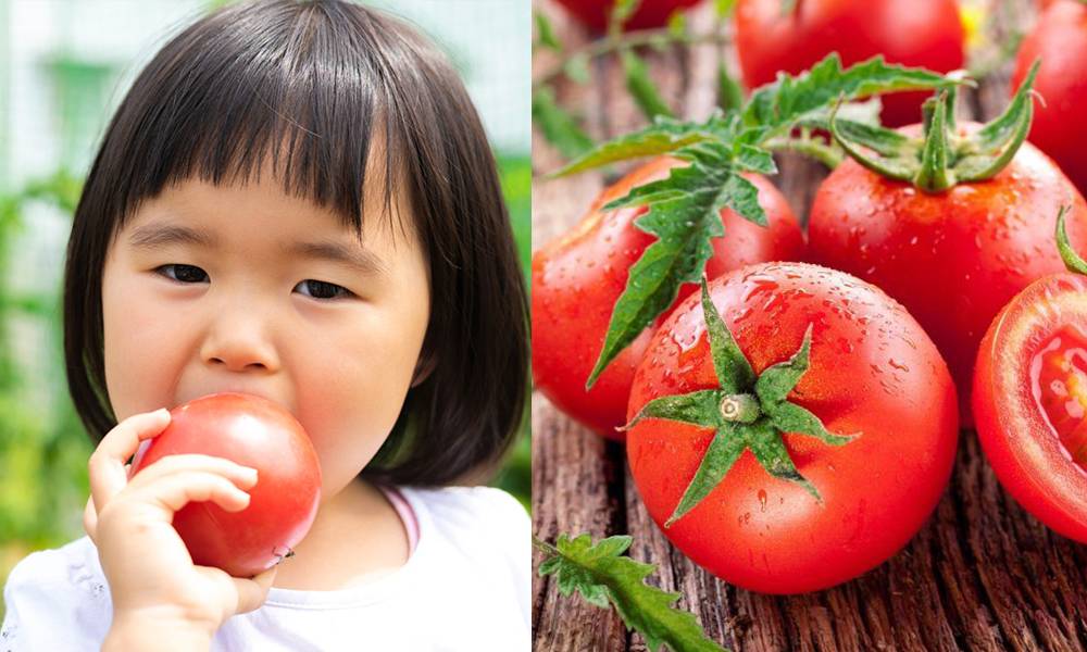 番茄營養｜茄紅素助抗氧化/降低心血管病風險 1個貼士令茄紅素爆升3倍