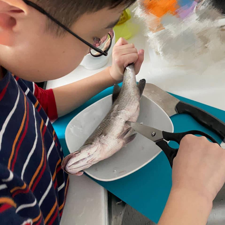 孩子好奇心 天朗對生物很有興趣，於是動手協助媽咪處理鮮魚。