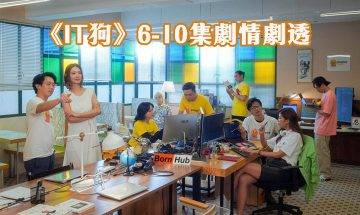 IT狗｜6-10集劇情劇透：凌文龍踢爆前女友老公出軌！倪晨曦客串登場