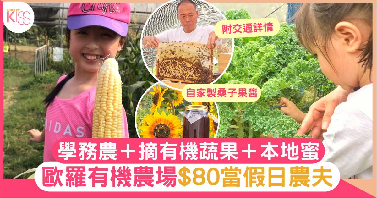 歐羅有機農場$80當假日農夫學務農＋摘有機蔬果 嘗香港原味道！附交通詳情