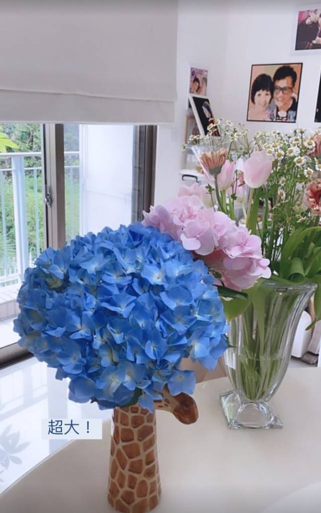 白血病 女兒黃芷晴昨日分享鮮花花束圖片，背景可見仍有一家人合照，似是懷念亡母。