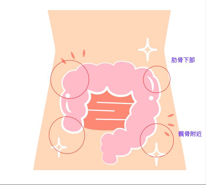 便秘操 大腸的結構如上圖所示，但大便往往滯於四個角落，即左右肋骨下方和左右髖骨周圍。圖片來源
