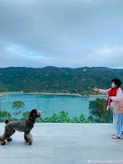 陳偉霆 媽媽與愛犬在家玩樂的片段，但亦因此令他的豪宅意外曝光