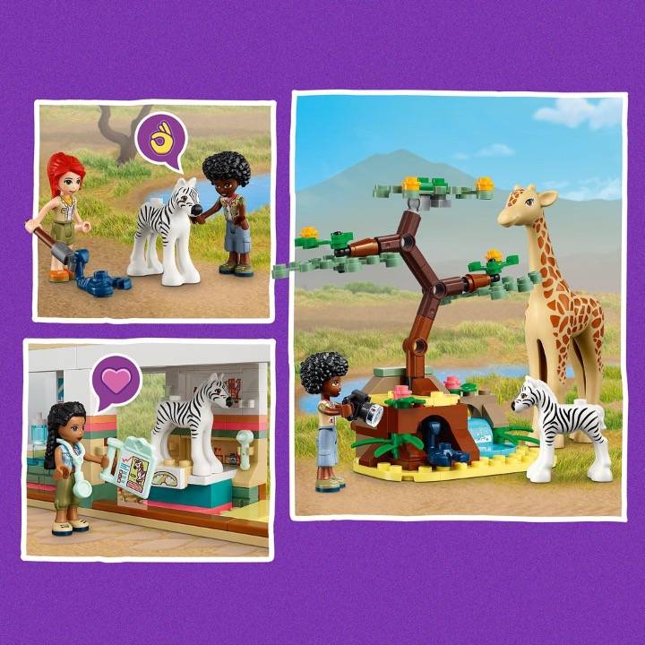 LEGO®Friends 盒組內角色和場景