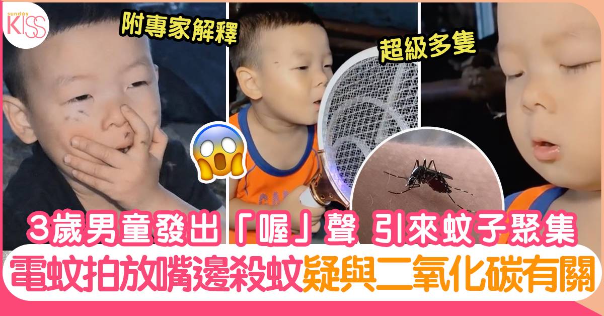 蚊子｜3歲男童發出低嗚聲 竟引來大批蚊子聚集 出動電蚊拍嘴邊殺蚊