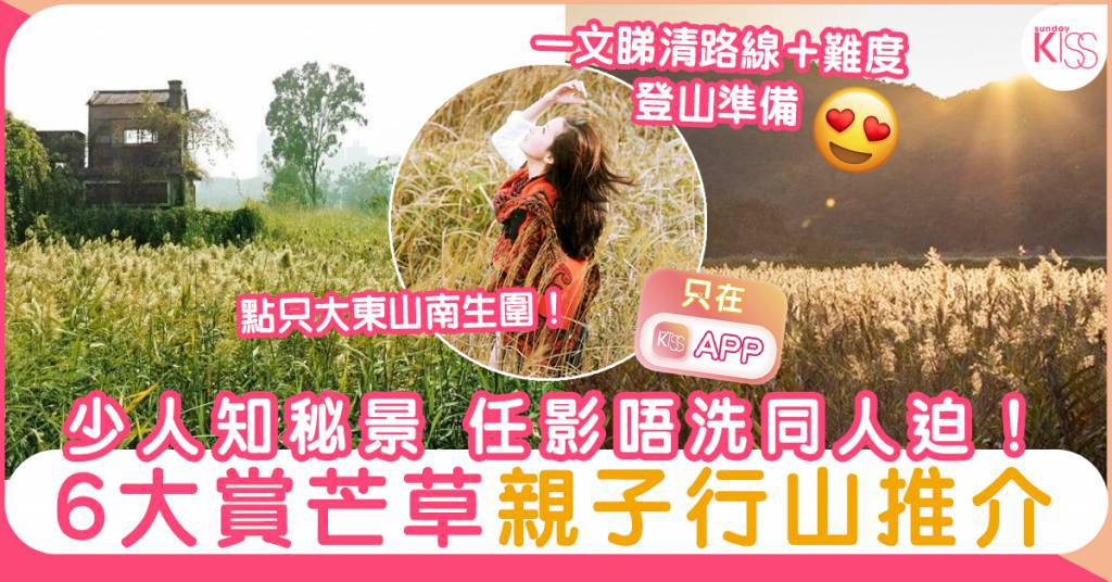 芒草季節2022｜親子行山賞芒6大介紹＋難度！大東山／飛鵝山／昂平 秋季限定