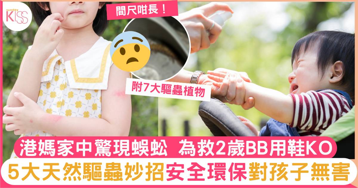 港媽家中驚現蜈蚣 5大天然驅蟲妙招 安全+環保 附7大驅蟲植物