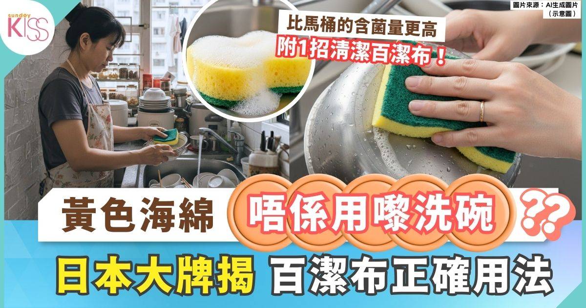 3M親揭百潔布正確用法 易藏污成細菌溫床 附1清潔方法