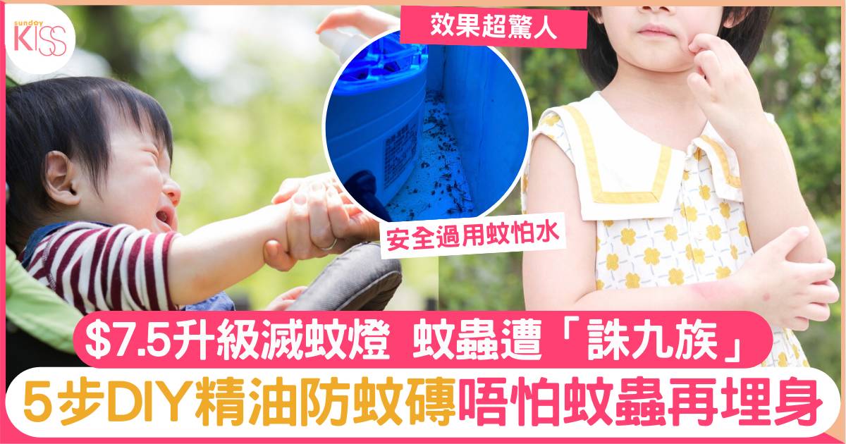 $7.5升級滅蚊燈 蚊子遭「滅九族」 5步DIY防蚊磚 蚊蟲唔埋身