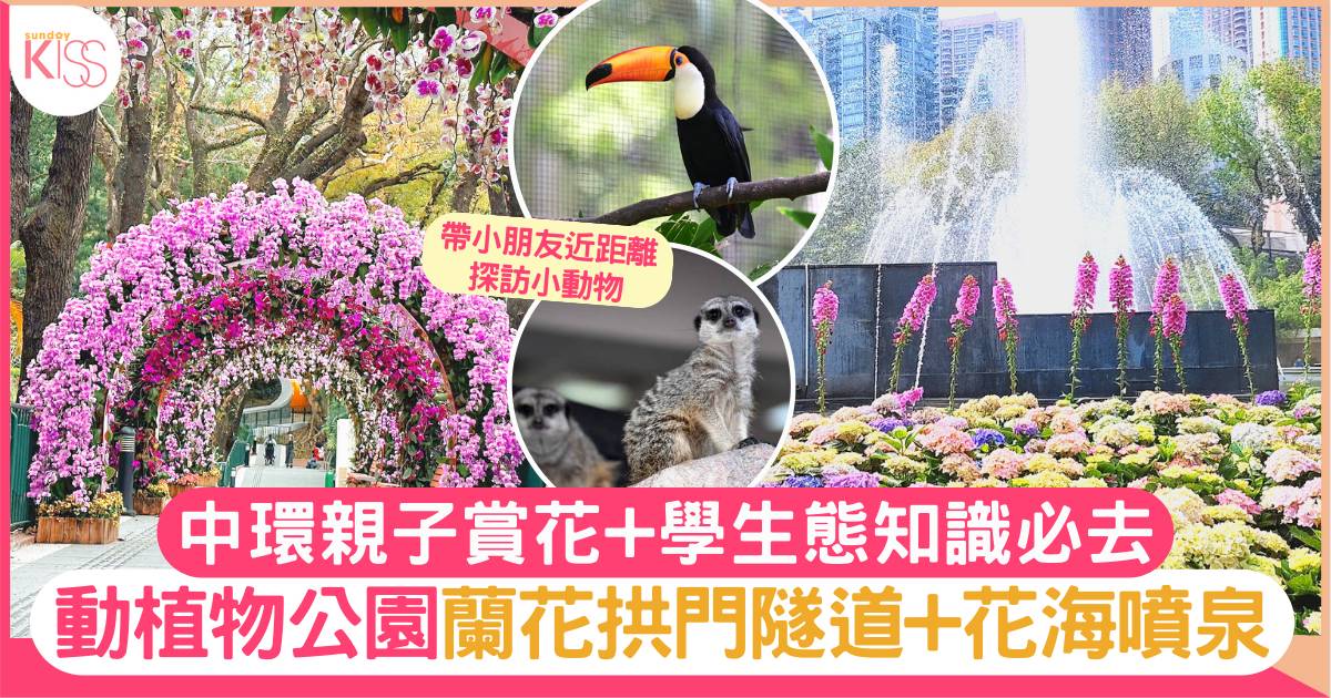 香港動植物公園｜蘭花拱門隧道+花海噴泉 中環親子賞花+學生態知識必去