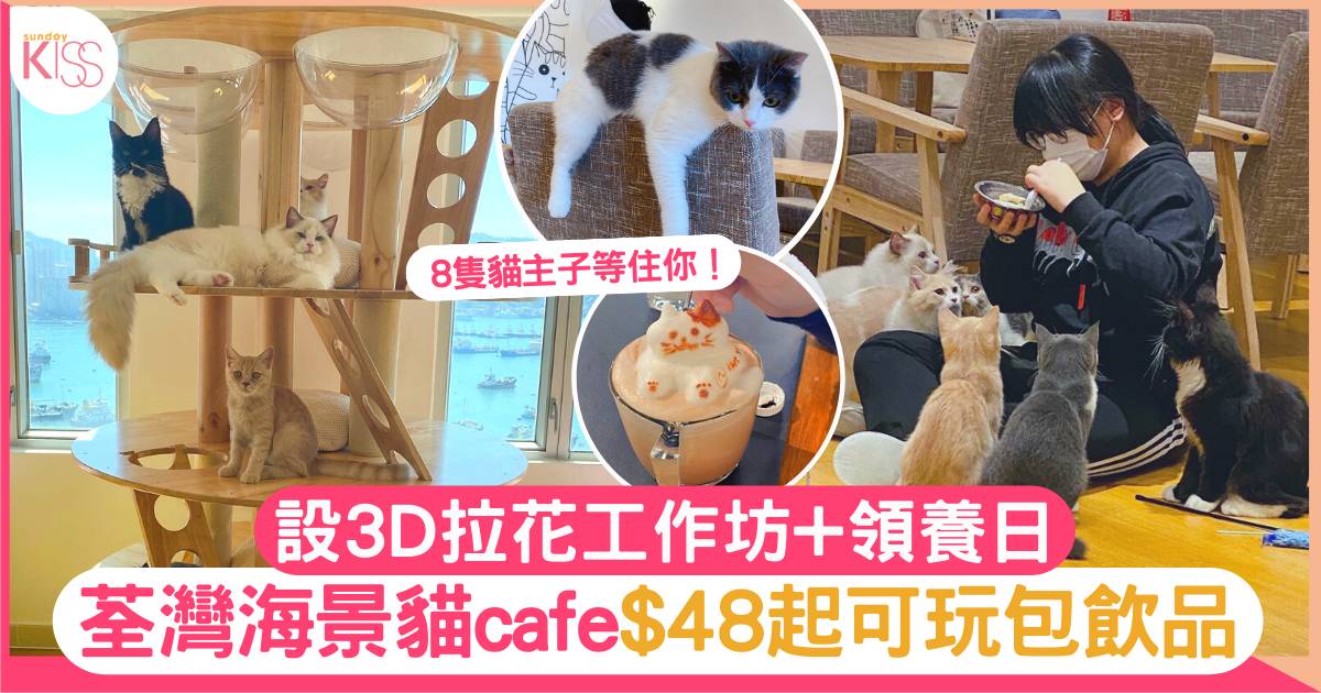 貓cafe｜荃灣海景貓cafe$48起可玩包飲品 設拉花工作坊+領養日